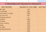 find profitable SEO keyword research and competitor analysis
